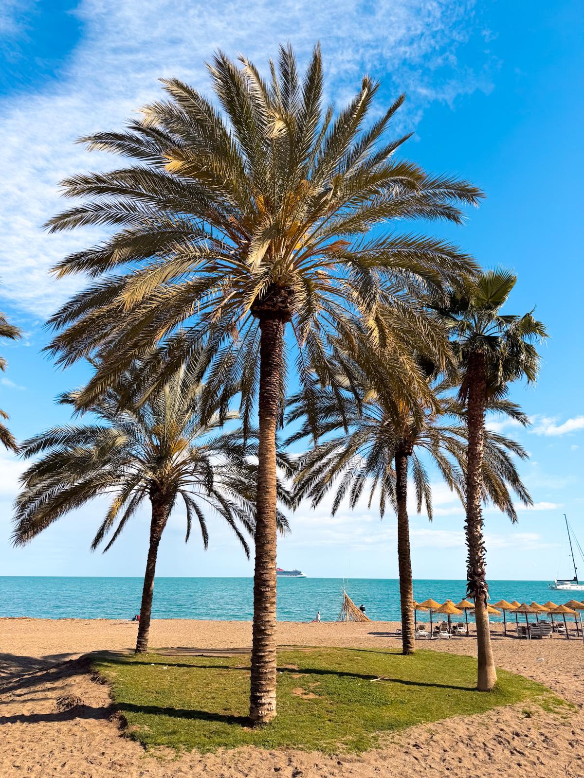 Hotspot Malaga - strand Malaga - La Malagueta