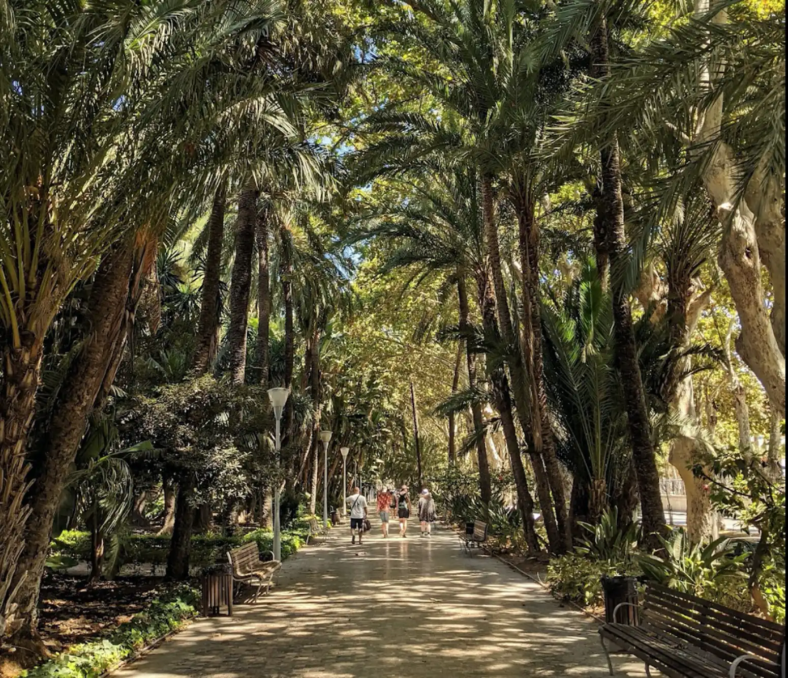 De ultieme picknickspots | Hotspot Malaga | Hotspot Malaga fietstour