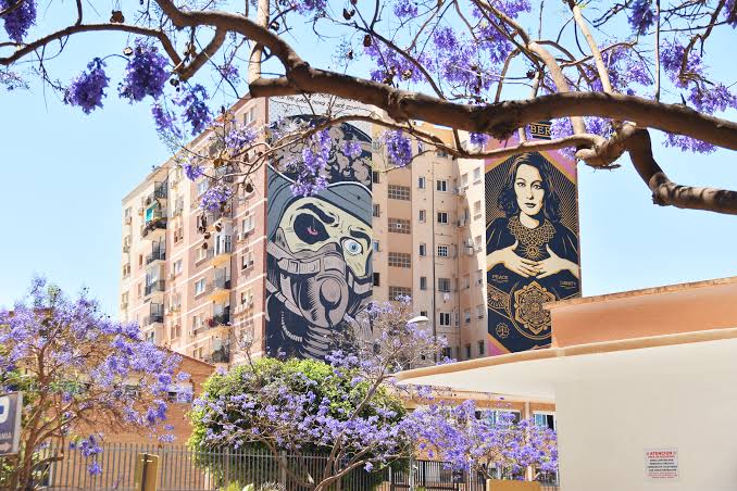 Gratis activiteiten | Hotspot Malaga | Fietstour Malaga | fietsen in Malaga